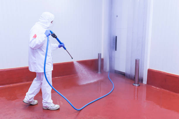 Best Graffiti Removal  in Georgetown, IL